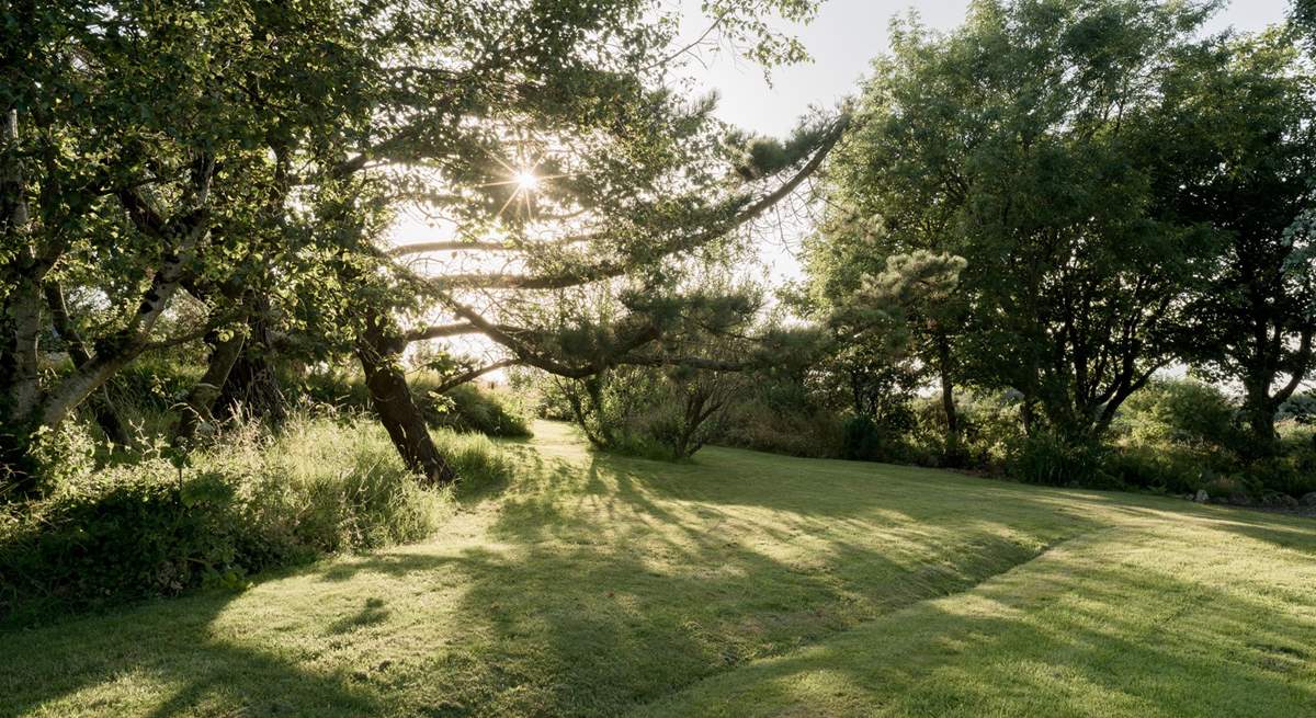 Ideal shade in the summer sun. 