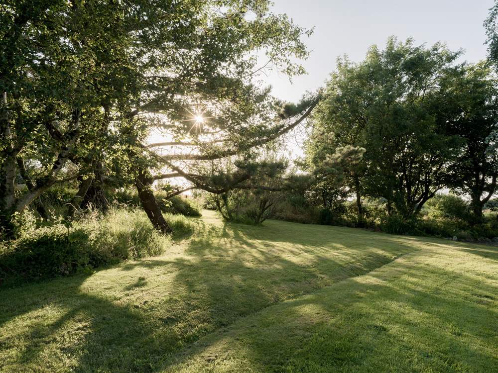 Ideal shade in the summer sun.