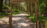 The trails at nearby Cardinham Woods are popular with cyclists too. - Thumbnail Image