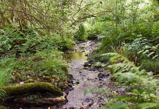 What will you discover whilst exploring?