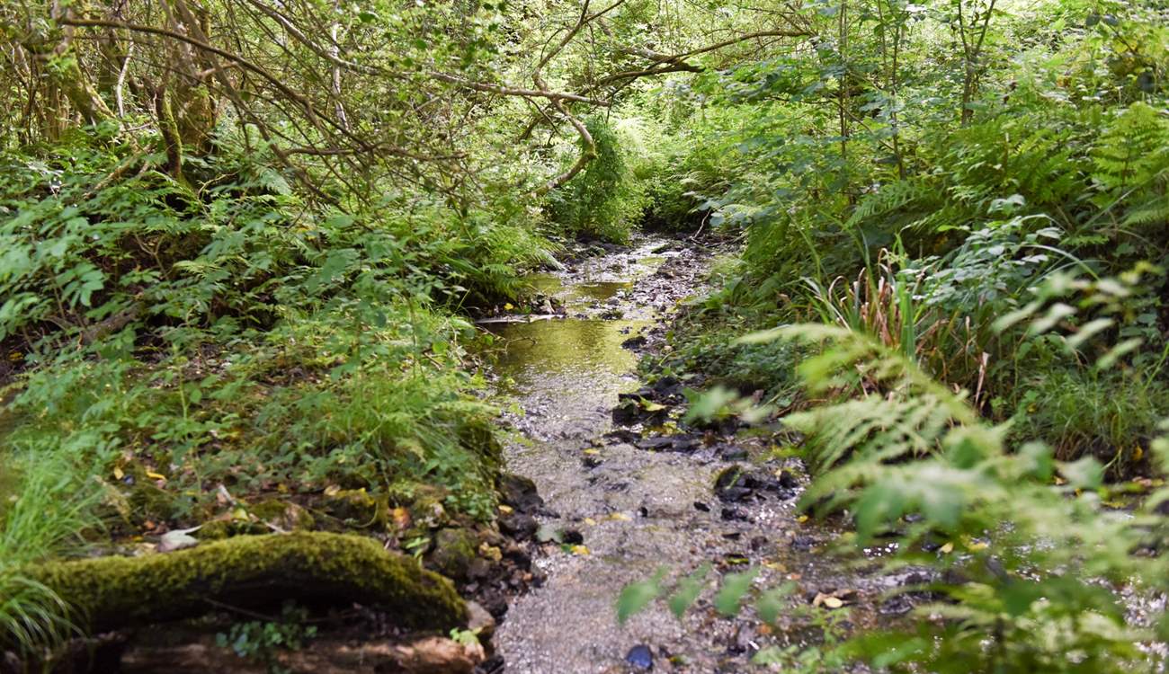 What will you discover whilst exploring?