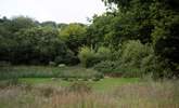 An idyllic fire-pit spot. - Thumbnail Image