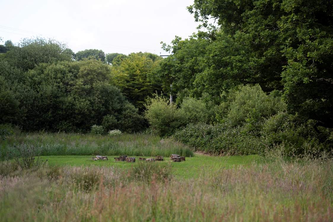 An idyllic fire-pit spot.