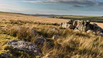 Bodmin Moor, with its 100 square miles of wide-open spaces and rock formations is within easy reach.
