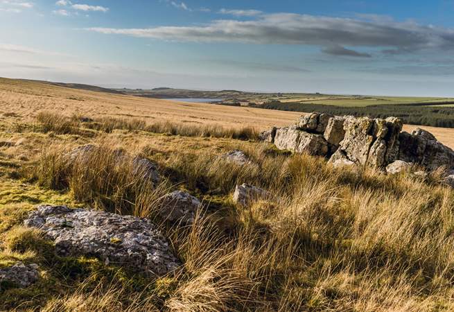 Bodmin Moor, with its 100 square miles of wide-open spaces and rock formations is within easy reach.
