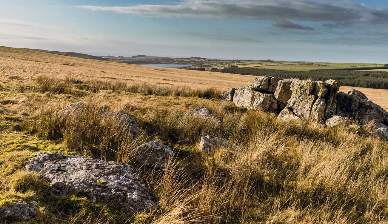 Bodmin Moor, with its 100 square miles of wide-open spaces and rock formations is within easy reach.
