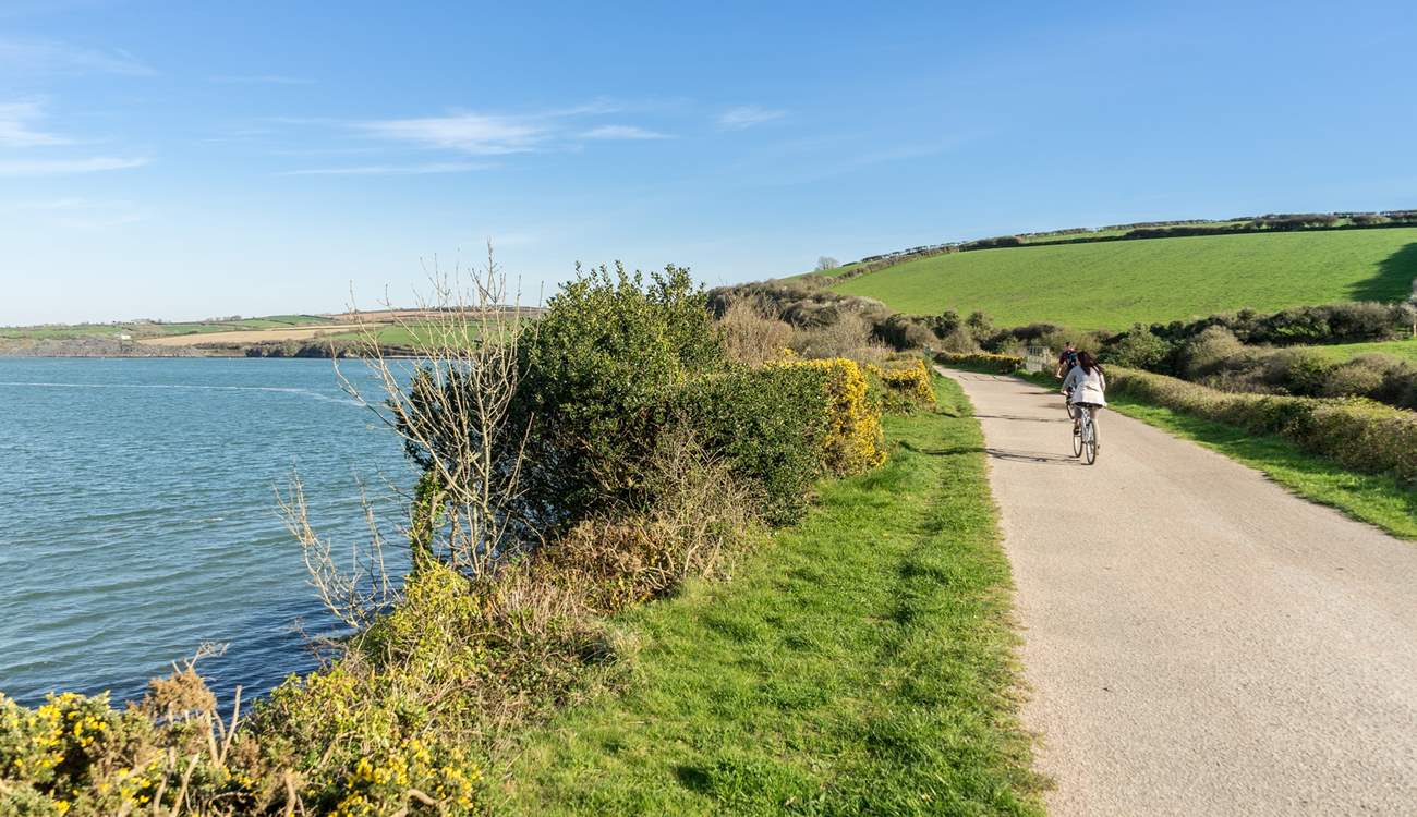 If you want to get out and about, the renowned Camel Trail winds its way from Wenford Bridge along wooded valleys and the Camel Estuary out to Padstow on the north coast.