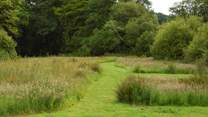 You are more than welcome to explore the owners' many acres of gorgeous grounds. 