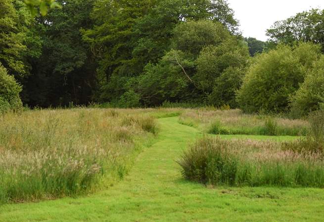 You are more than welcome to explore the owners' many acres of gorgeous grounds. 