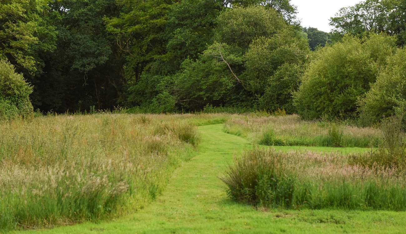 You are more than welcome to explore the owners' many acres of gorgeous grounds. 