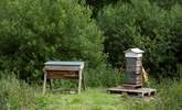 And beehive! - Thumbnail Image