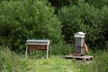 And beehive!