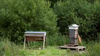 And beehive!