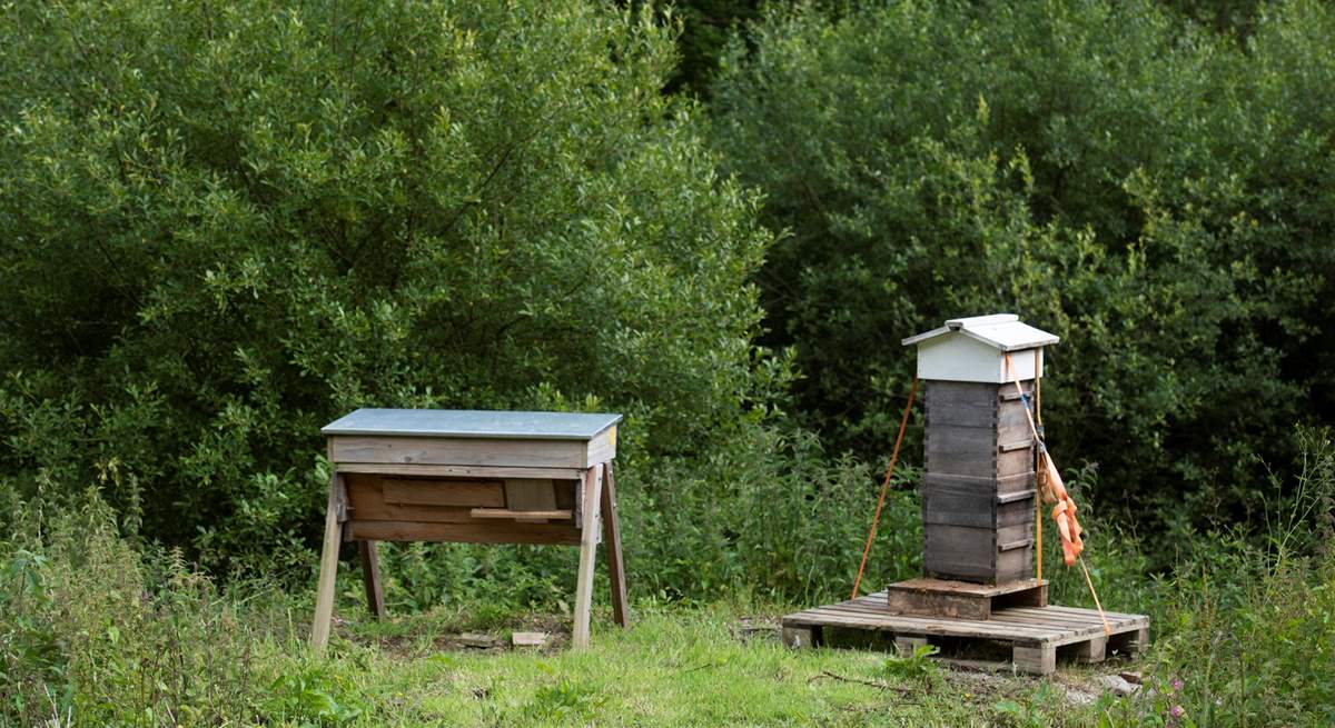And beehive!