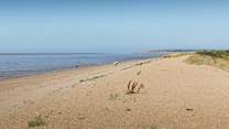 Your local beach; perfect for peaceful walks and birdwatching.