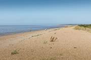 Your local beach; perfect for peaceful walks and birdwatching.