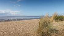 Explore the dunes and admire the changing tide.