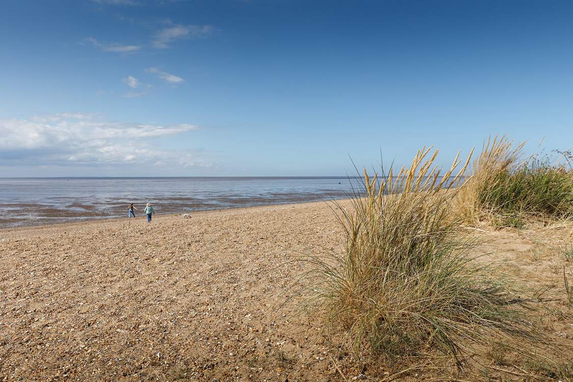 Explore the dunes and admire the changing tide.