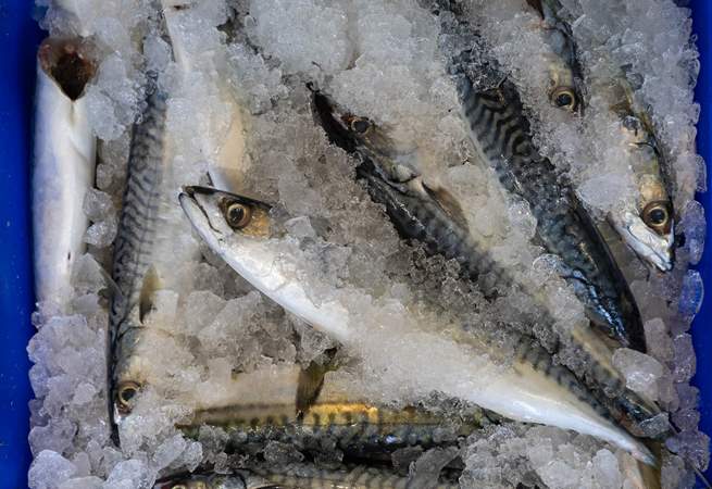 Stop and buy the catch of the day from the historic harbour in Newlyn.