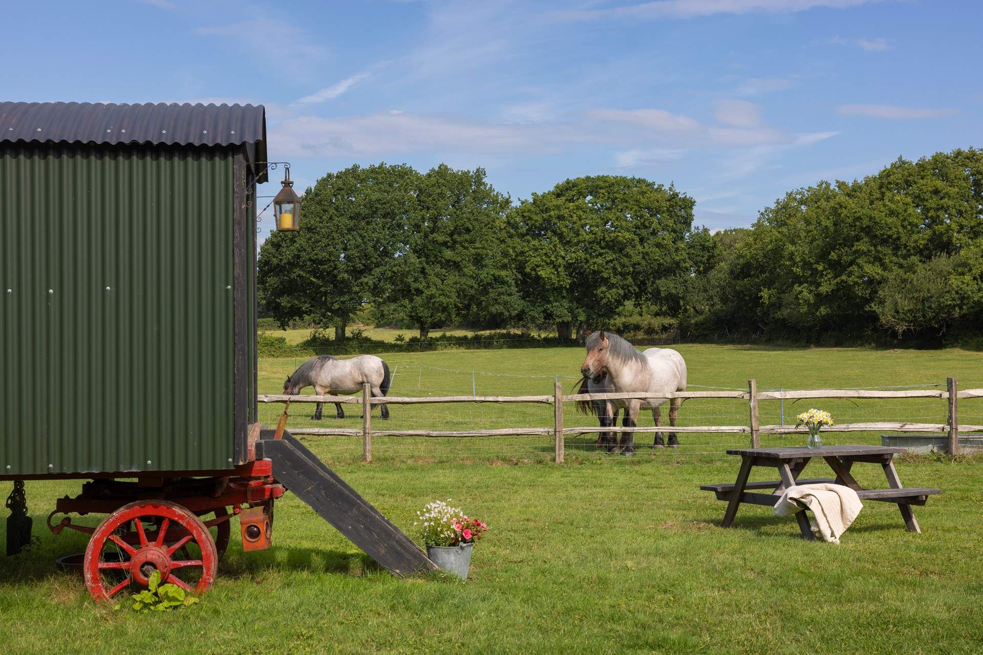 On a summer's evening you may be lucky to see the heavy horses grazing or working in the paddocks.