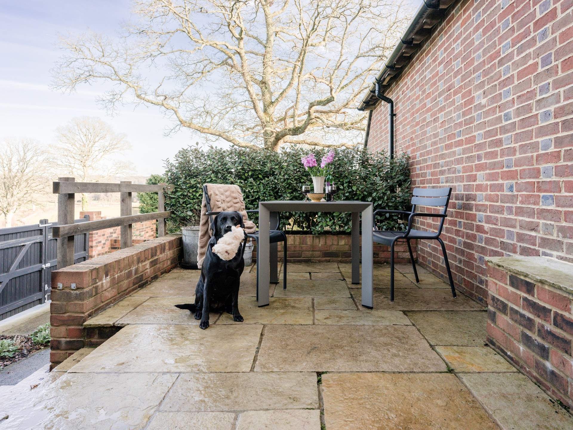 The perfect rural escape for your four-legged friend too!