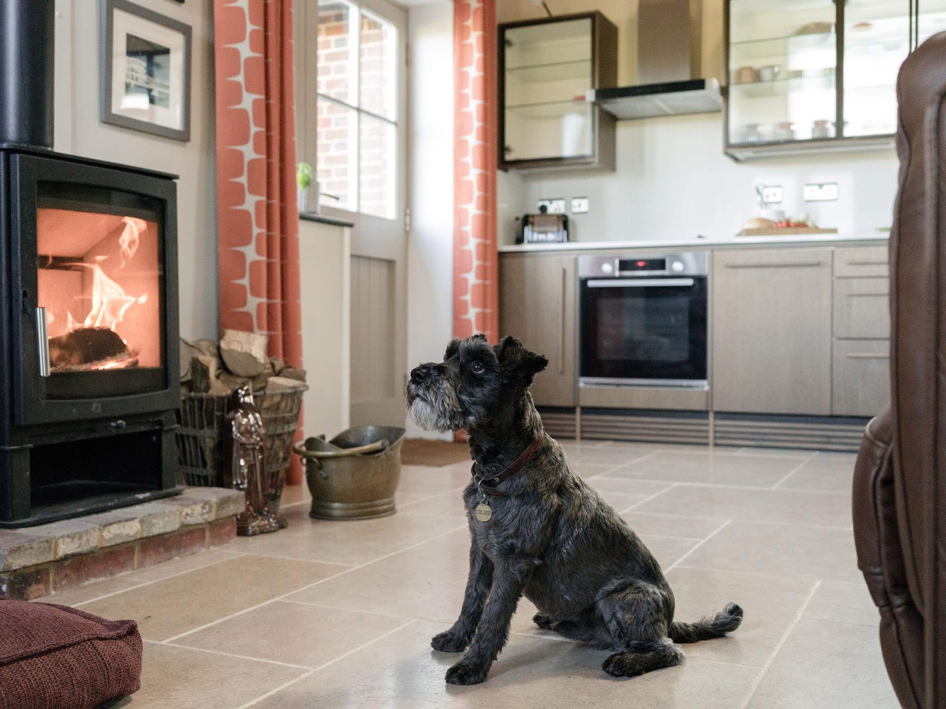 Your canine friend will love staying here too!