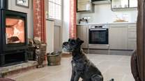Your canine friend will love staying here too!