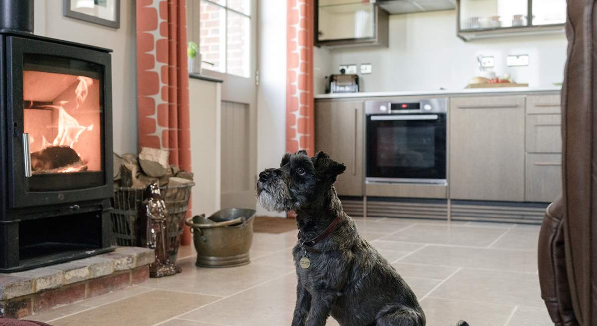 Your canine friend will love staying here too!