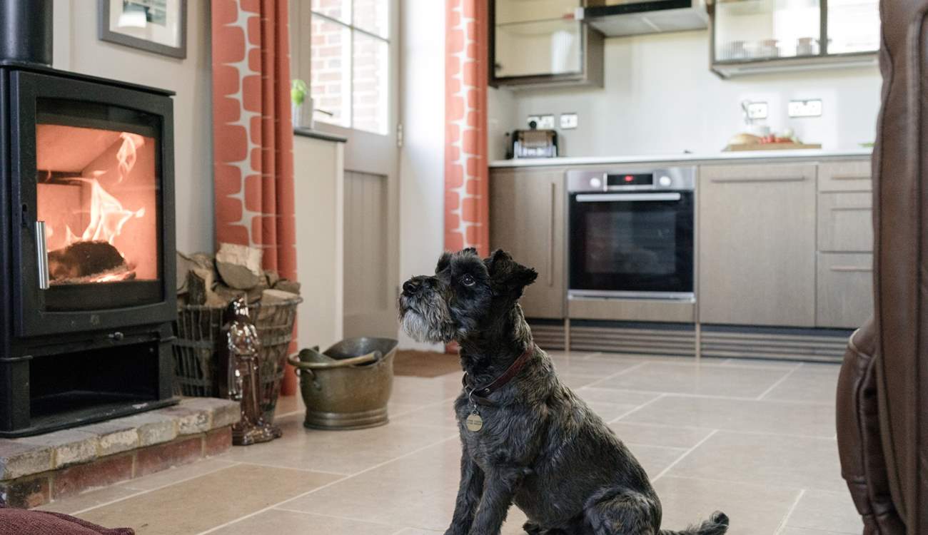 Your canine friend will love staying here too!