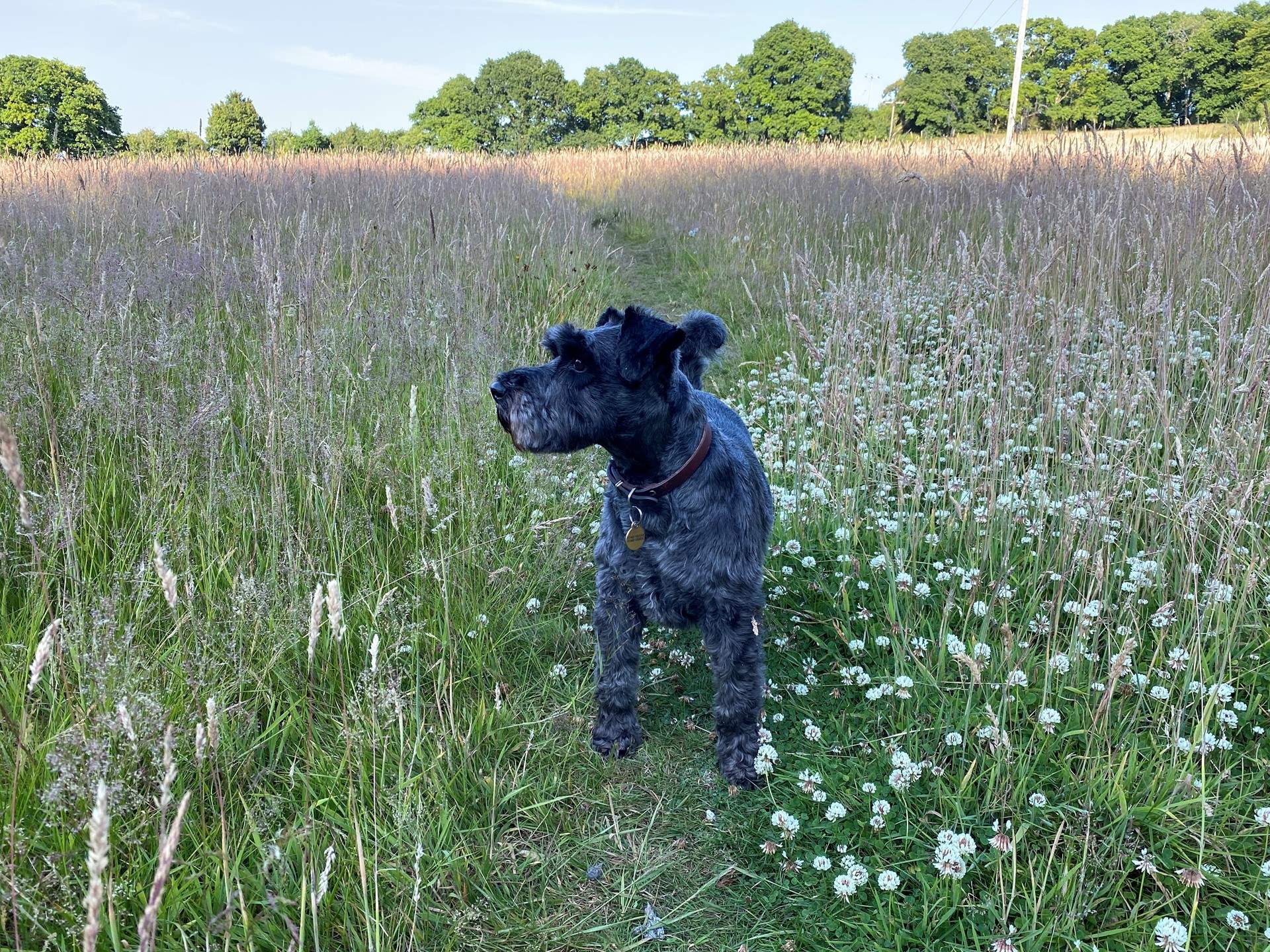 Miles of footpaths to explore.