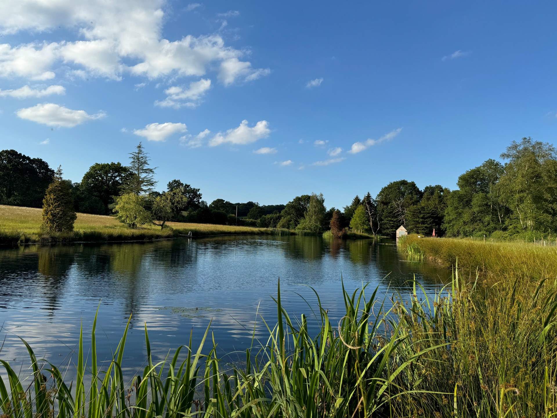 Listen out for the sounds of mother nature.