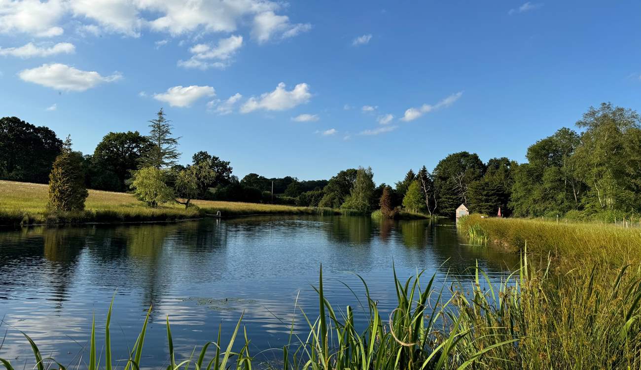 Listen out for the sounds of mother nature.