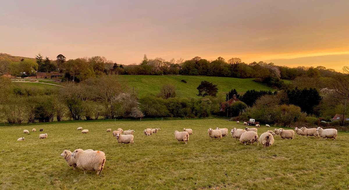 Surrounded by farmland and beautiful countryside.