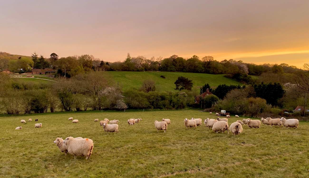 Surrounded by farmland and beautiful countryside.