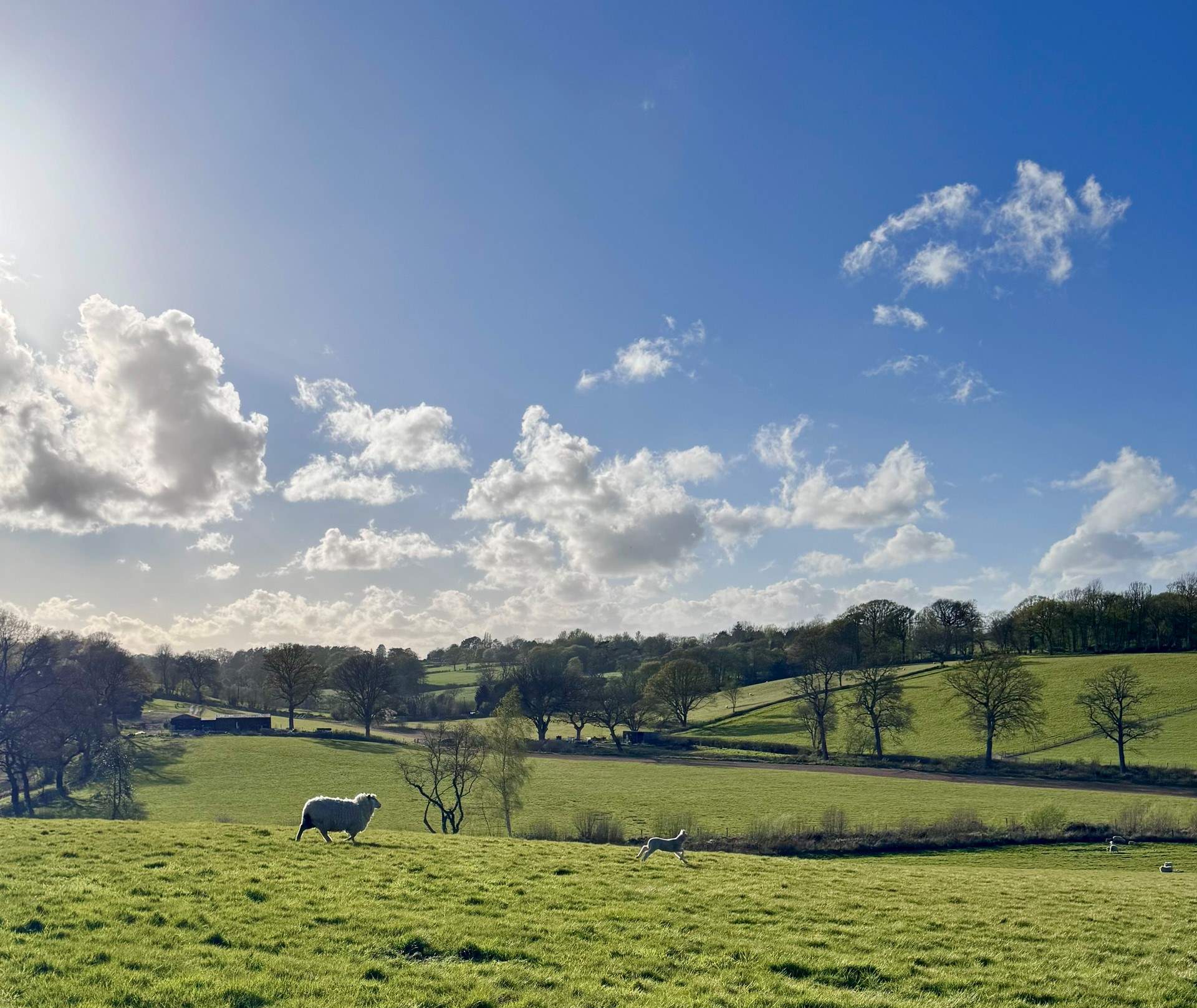 Wonderful walks to explore.