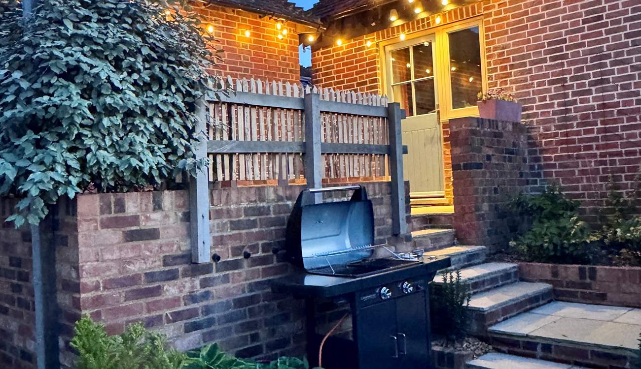 Summer evenings under the festoon lights!