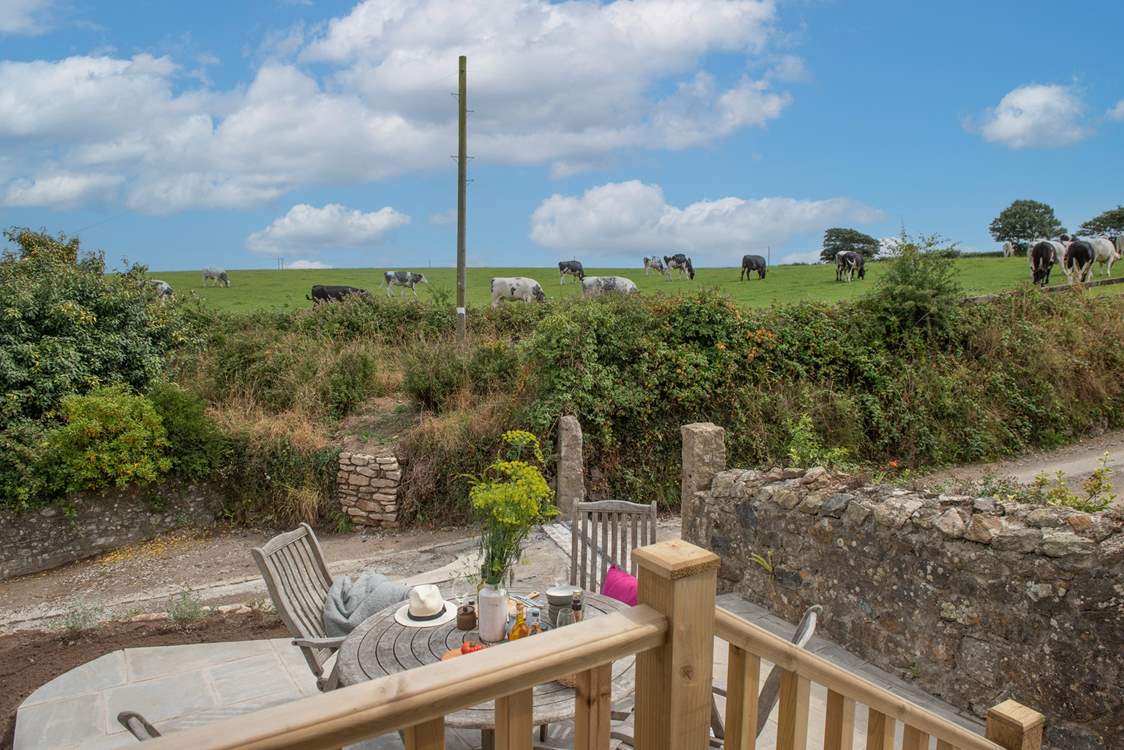 Say good morning to the friendly cows who are nearby from time to time.