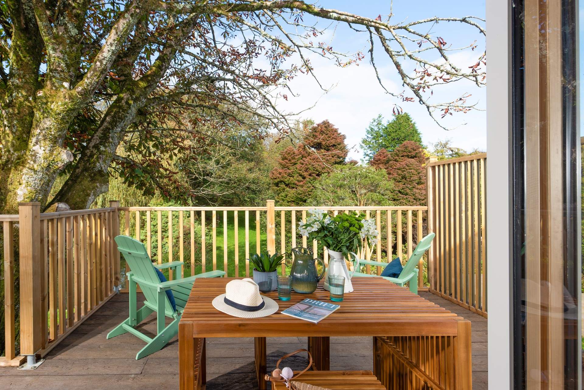 The sun-drenched deck shaded by the magnificent chestnut tree.