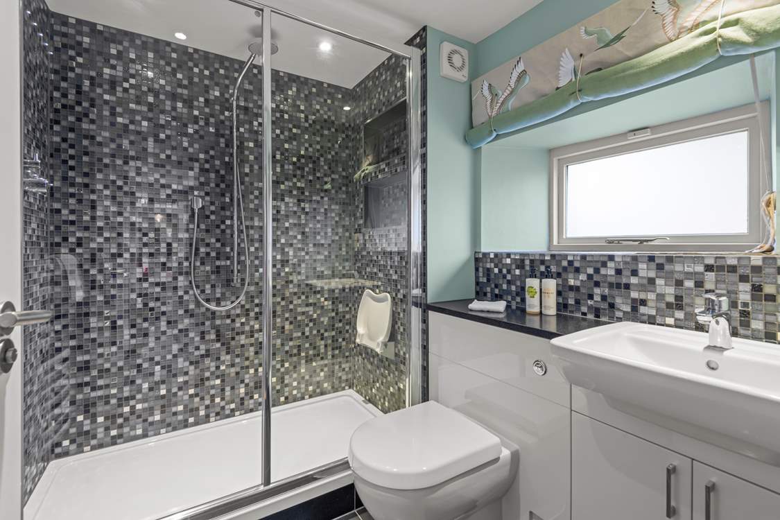 The en suite shower-room for bedroom 1.