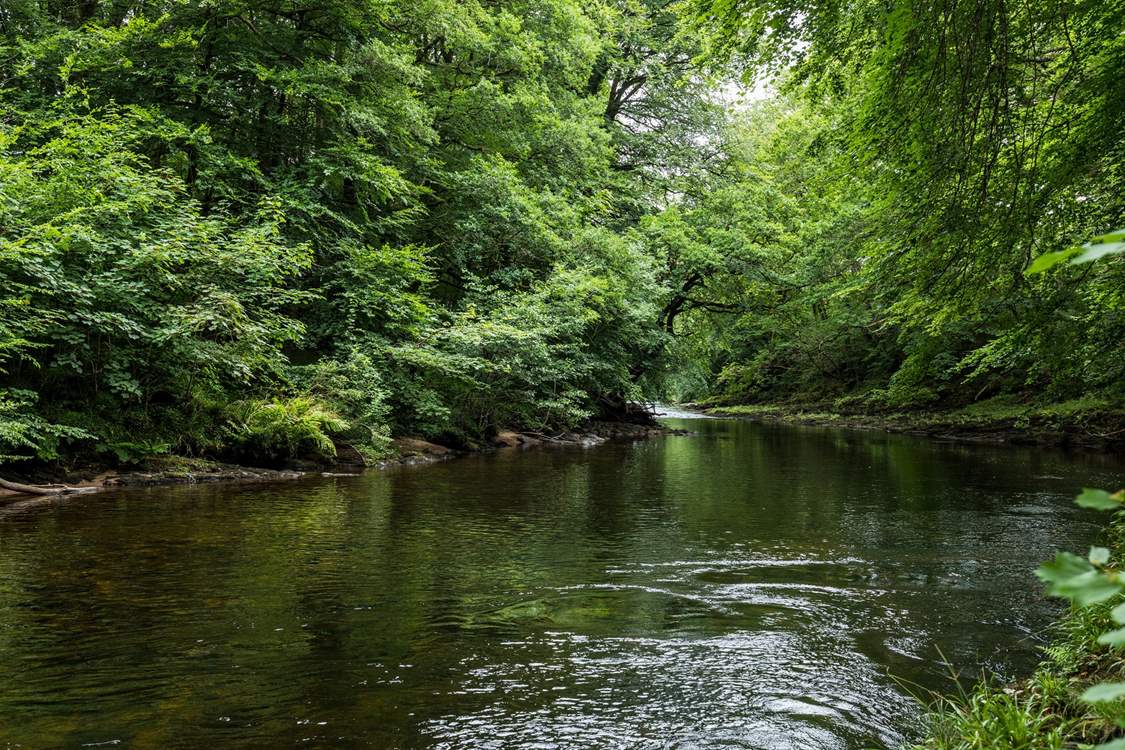 There are plenty of river walks and places to wild swim.