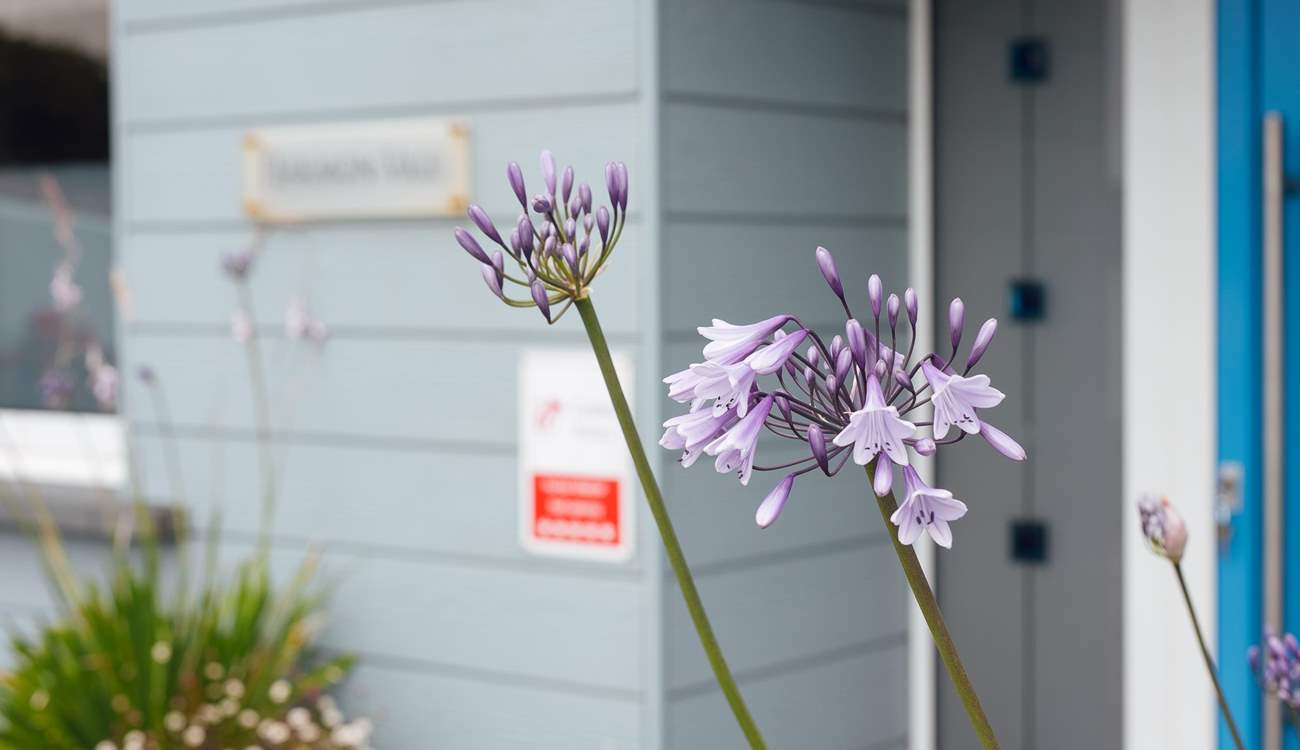 Deservedly, a 5* Visit Wales property. 