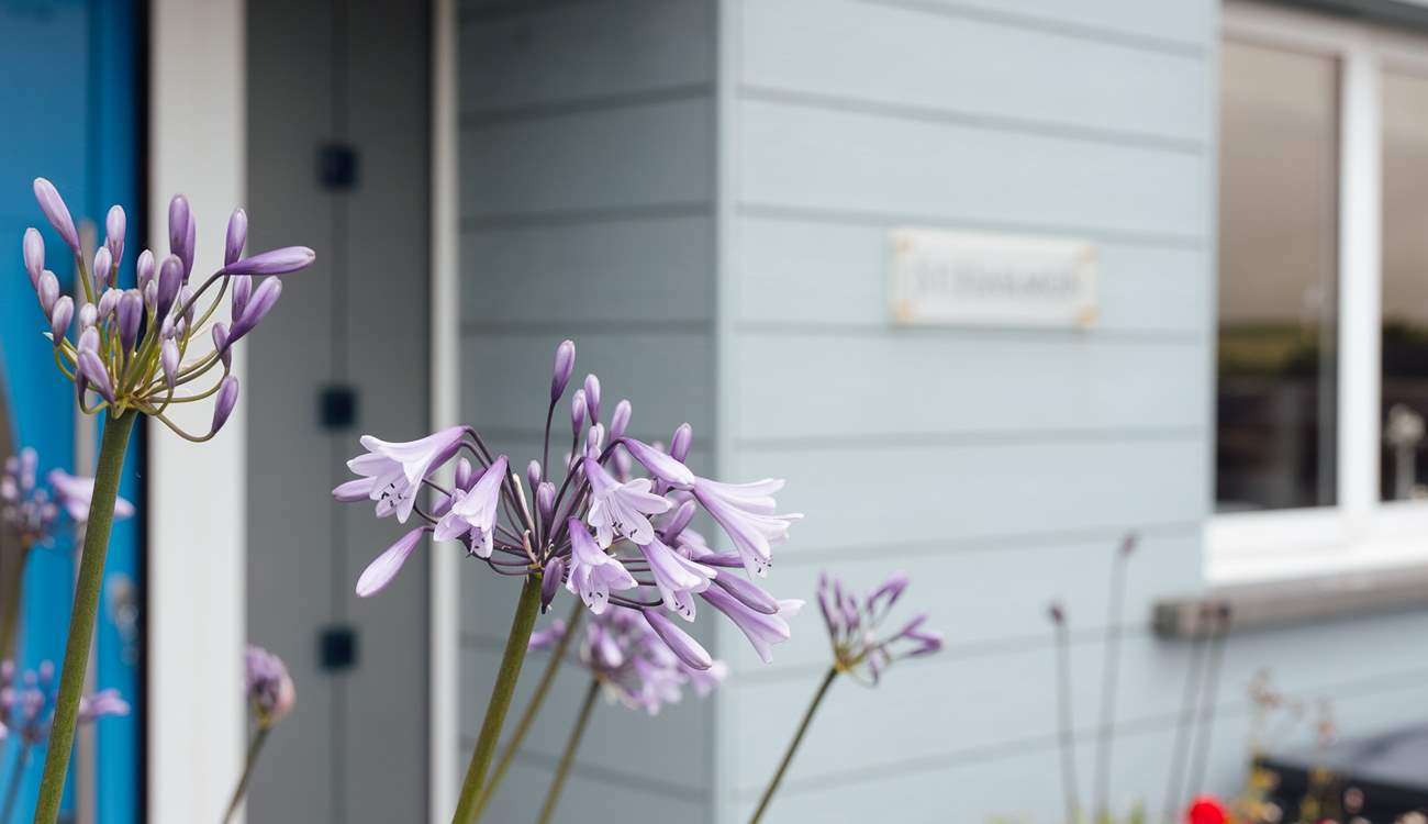 Throughout the year, the perfect holiday awaits. Ideal for celebrations and much needed get-togethers.