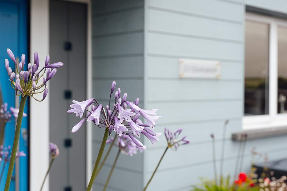 Throughout the year, the perfect holiday awaits. Ideal for celebrations and much needed get-togethers.