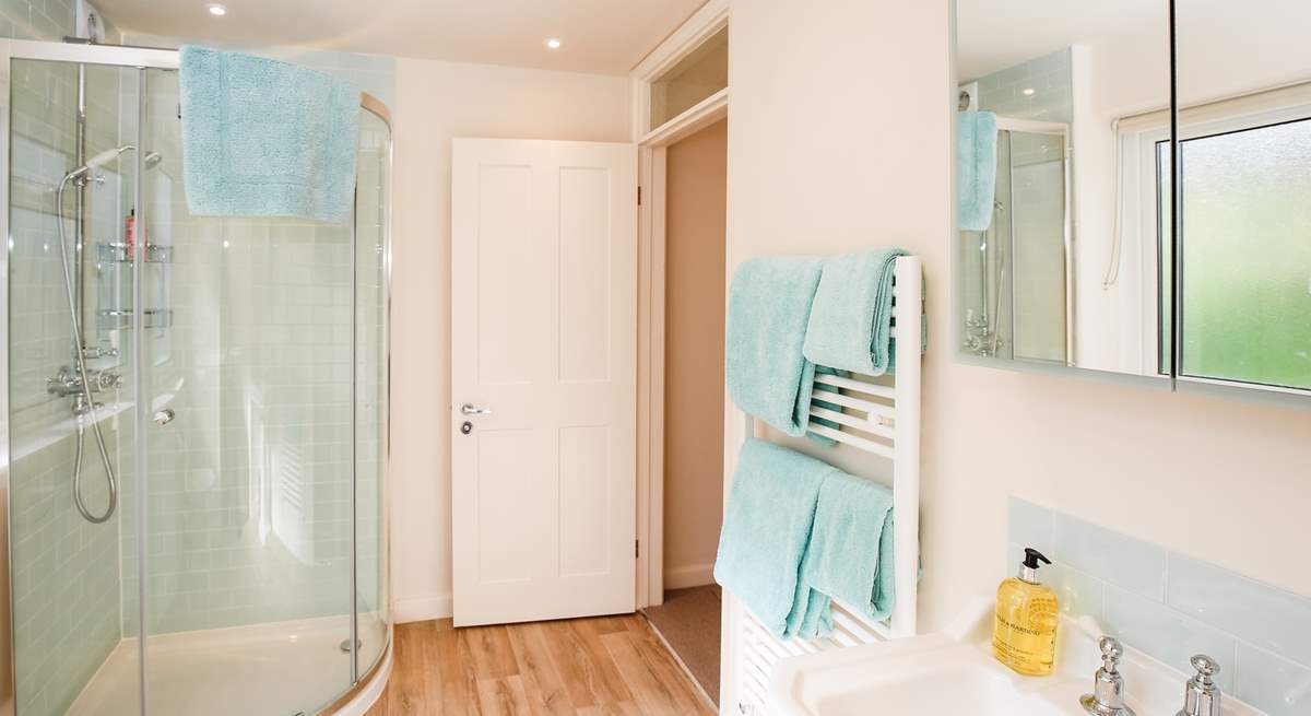 The ground floor shower-room.