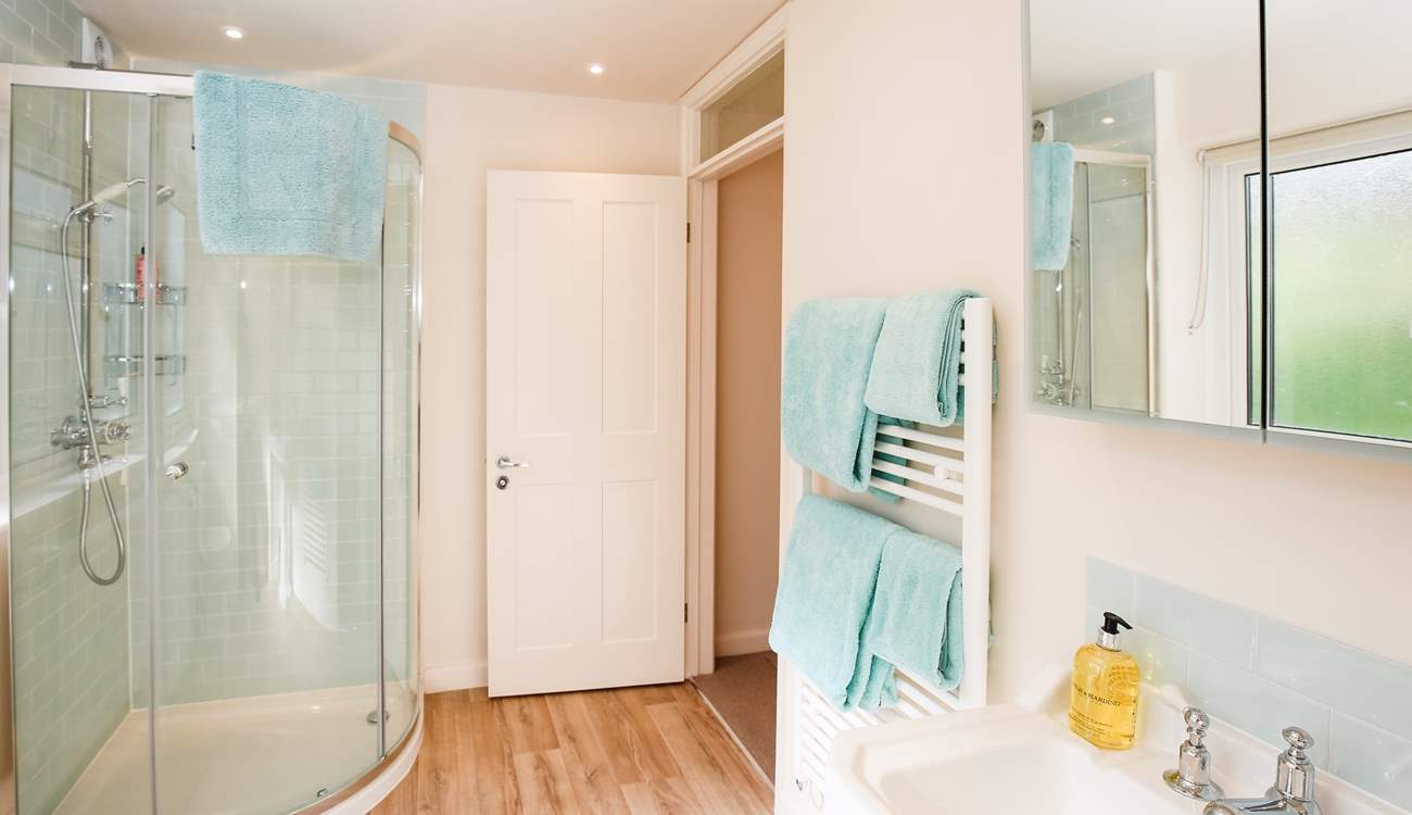 The ground floor shower-room.