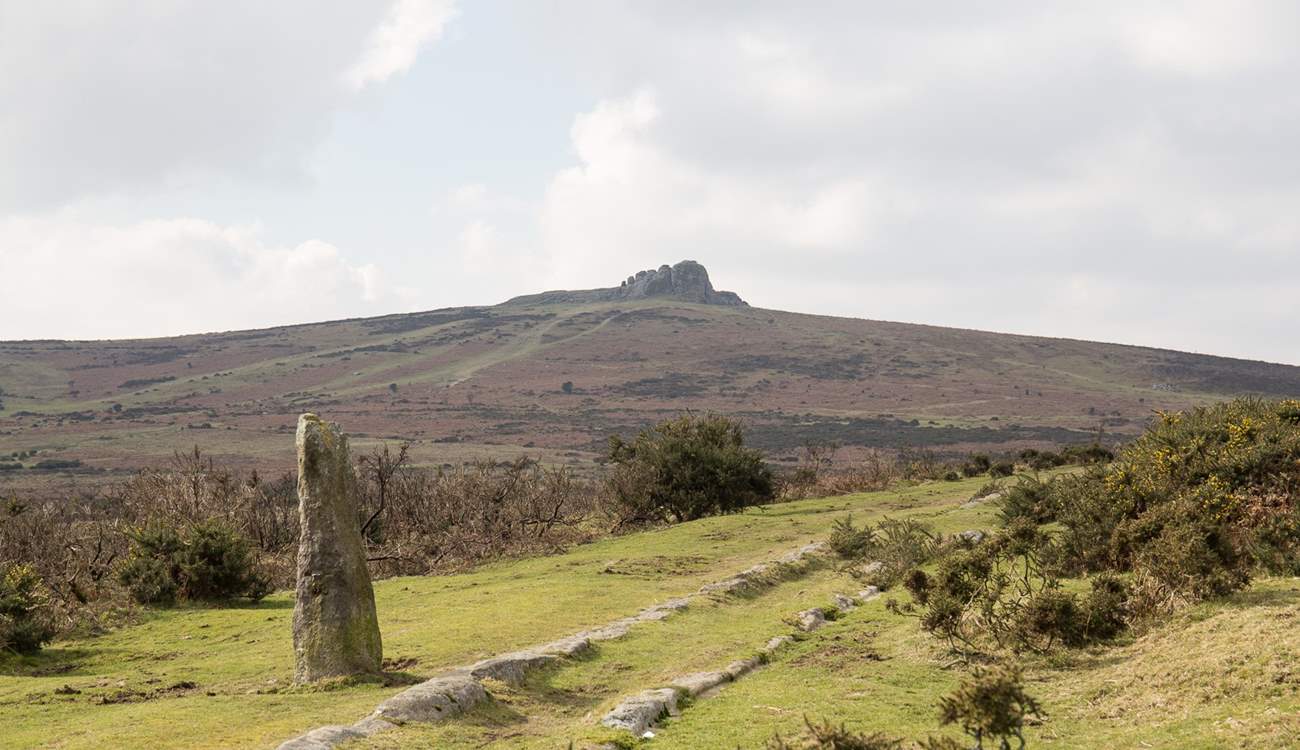 Pack your walking boots and explore Dartmoor with its spectacular scenery. This is Haytor.
