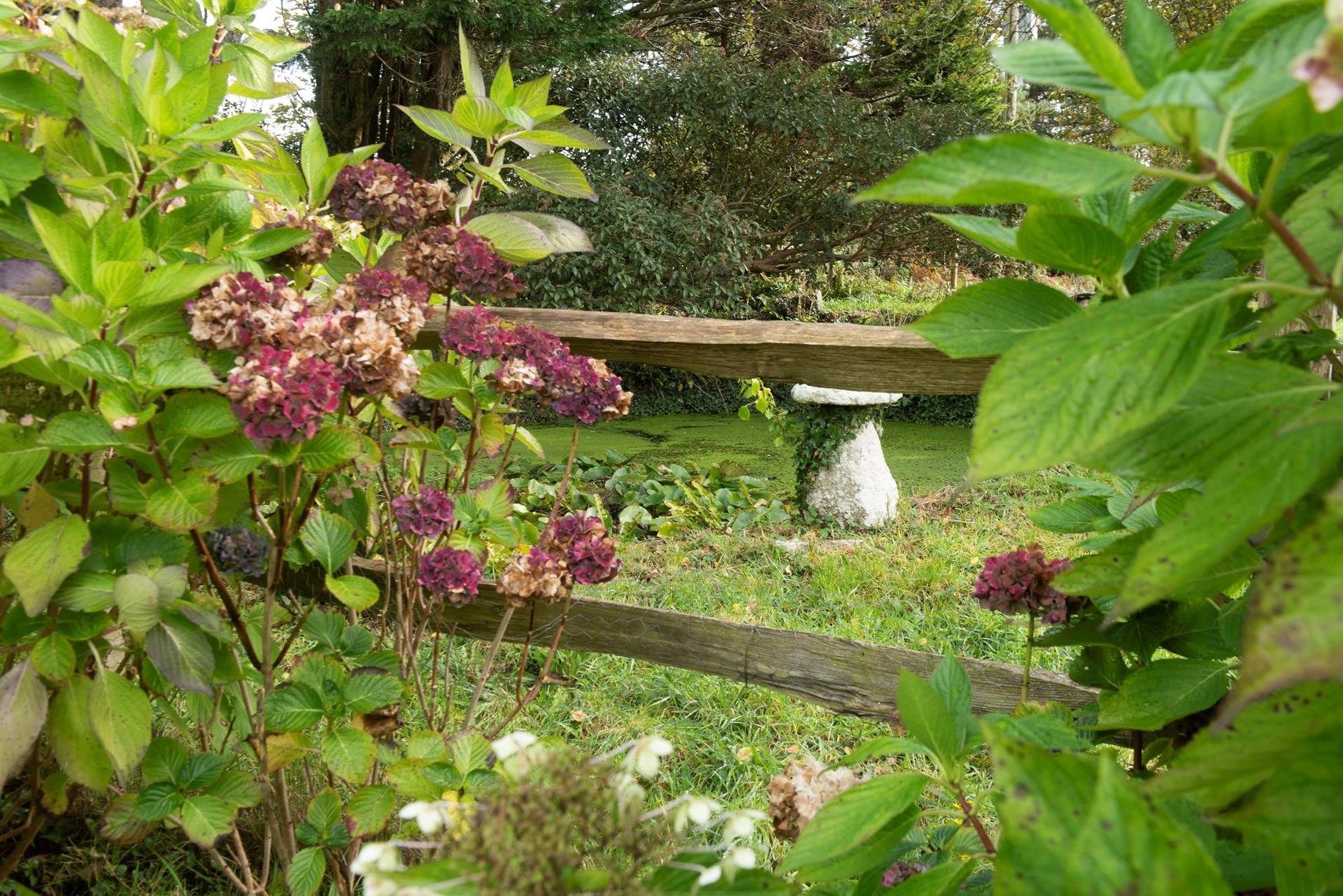 There is a pond by the gardens that is fenced, but please take care with little ones and dogs. A second pond is also in the nearby owners' private grounds.