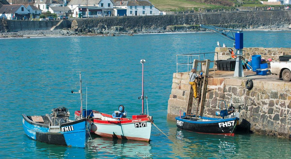 The pretty harbour at Coverack. 