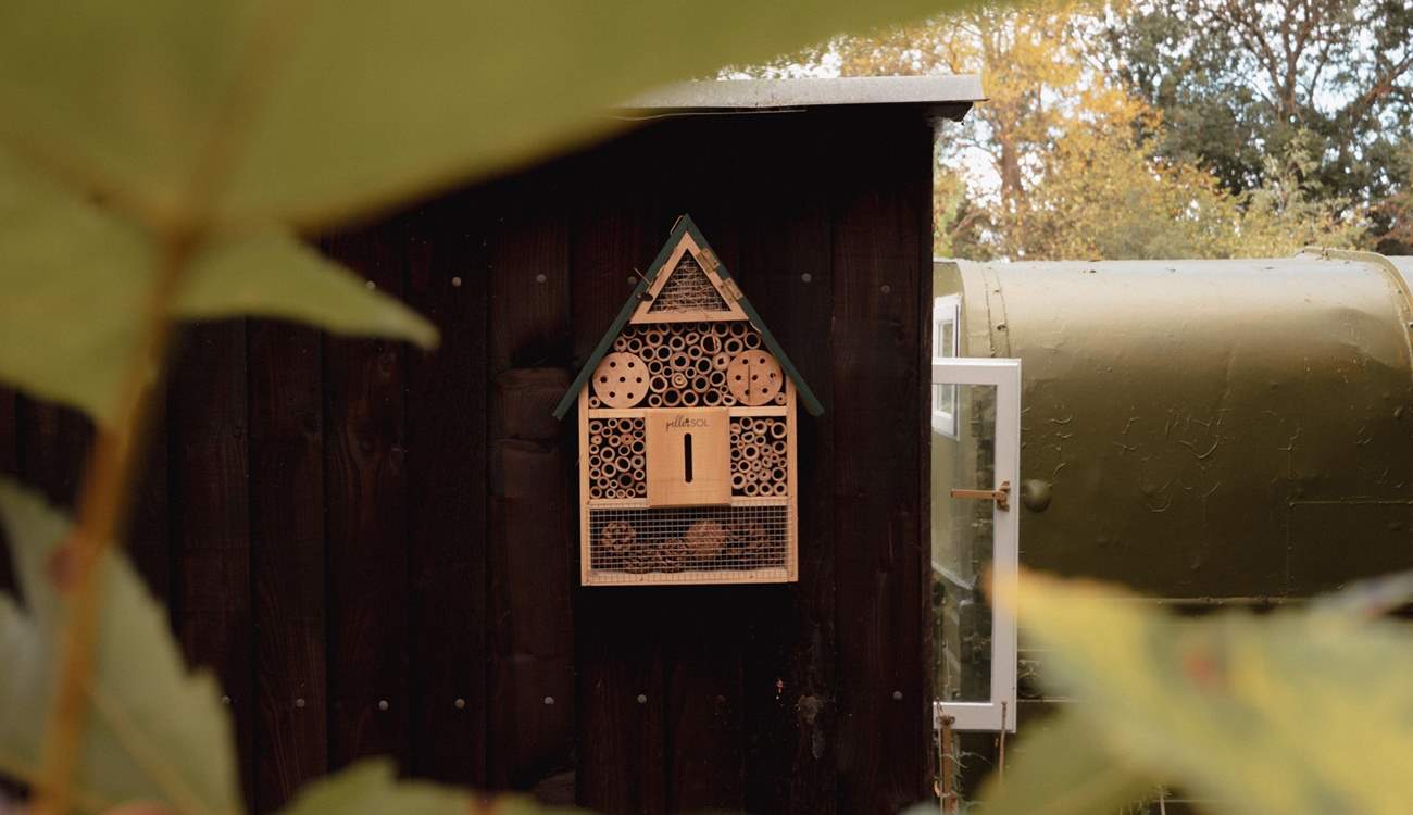 Wildlife is encouraged to thrive, with insect-friendly plants and homes.