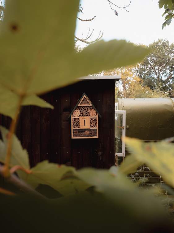Wildlife is encouraged to thrive, with insect-friendly plants and homes.
